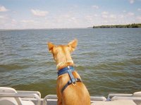 photos 2000-200901563